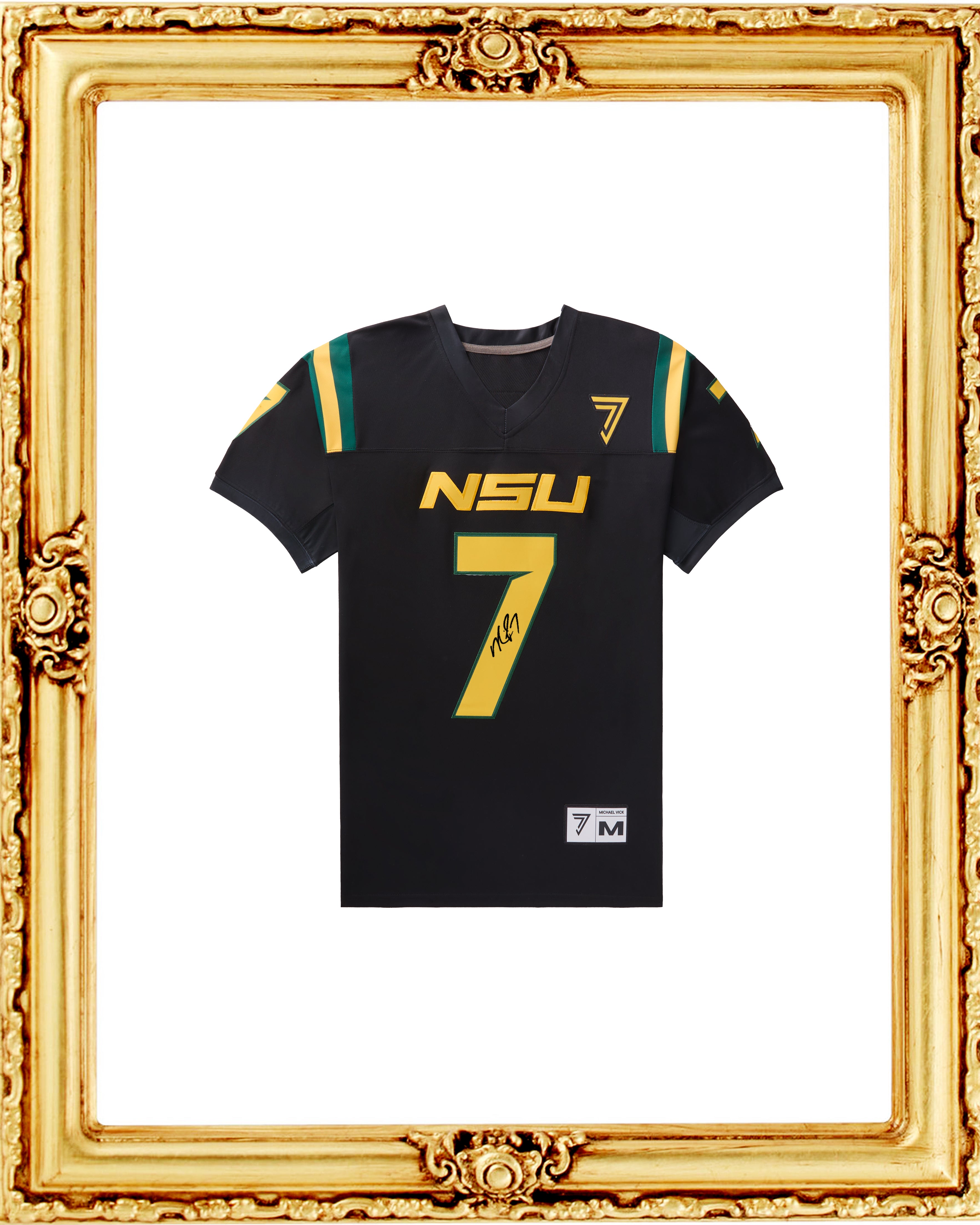 Signed Michael Vick Norfolk State Blackout