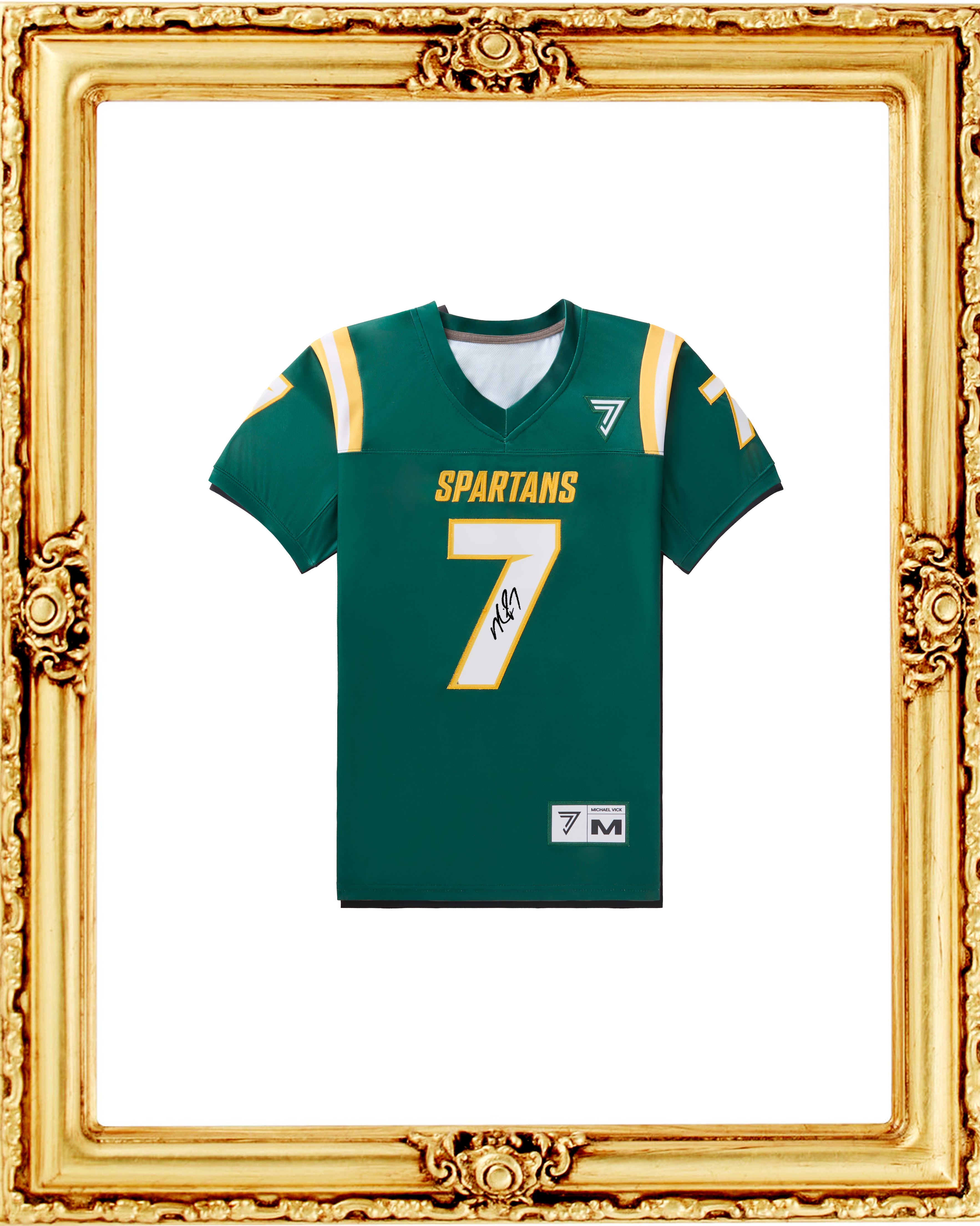 Signed Michael Vick Norfolk State Away