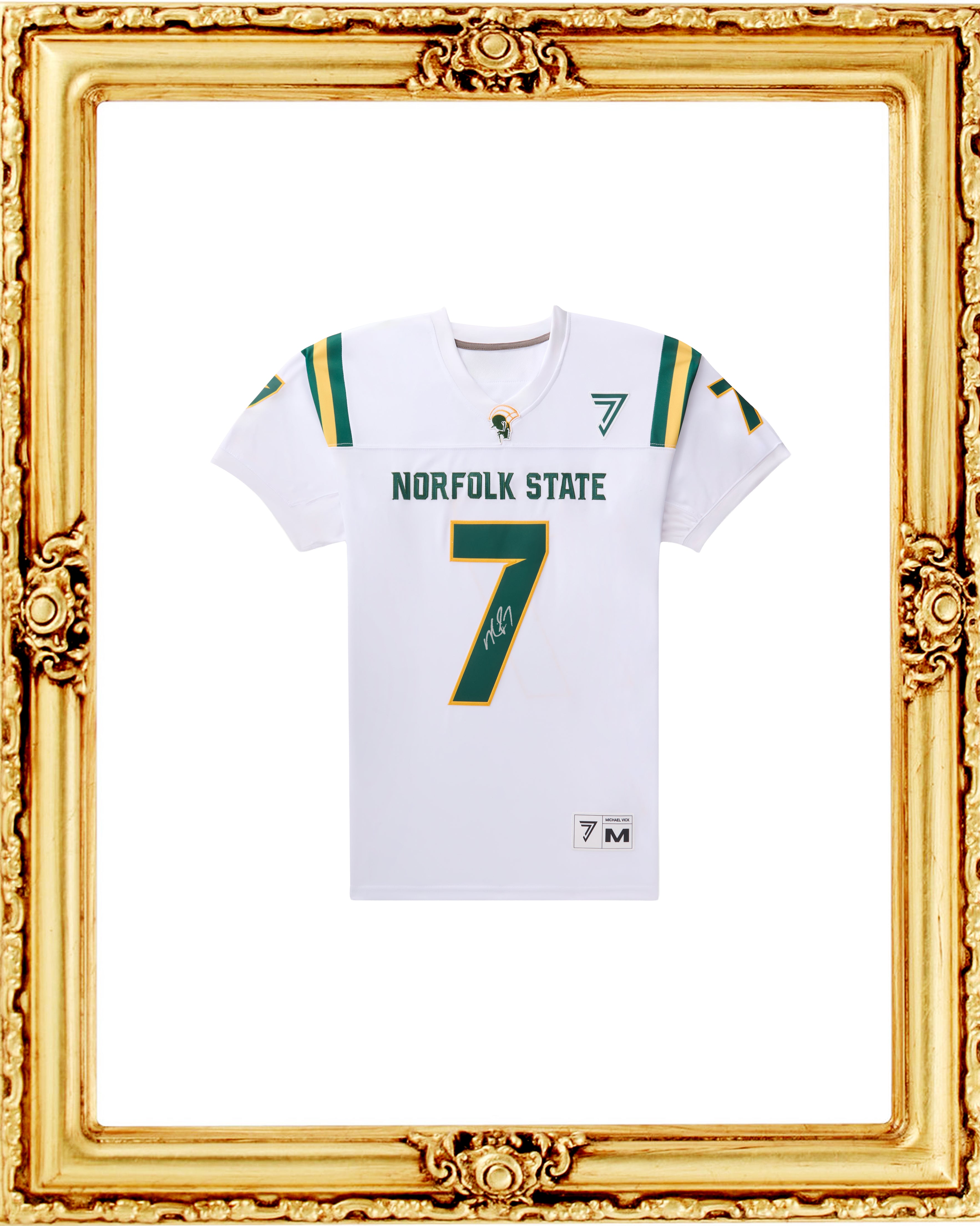 Signed Michael Vick Norfolk State Home